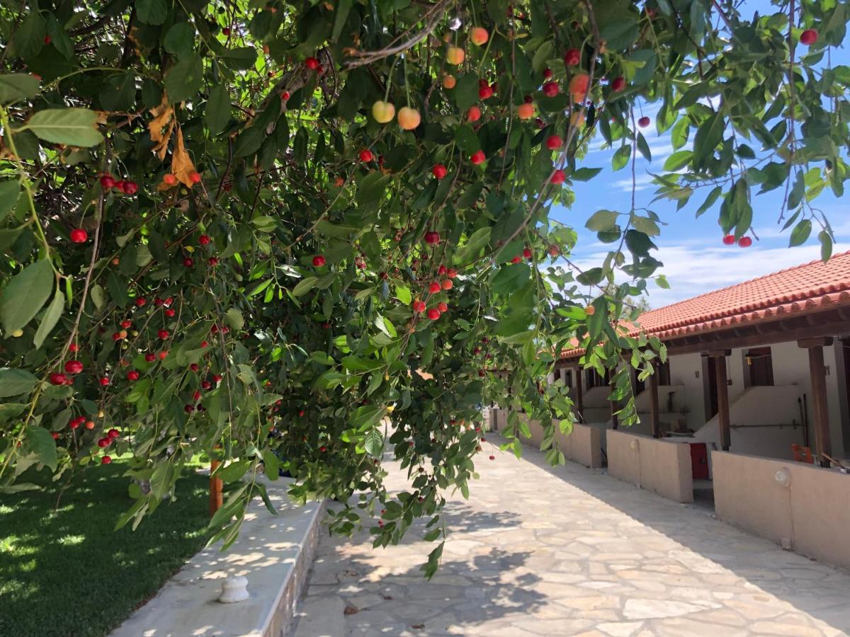 Gregory'S Village Plati  Ngoại thất bức ảnh